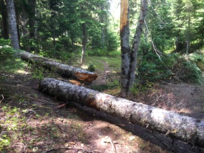 Klickitat