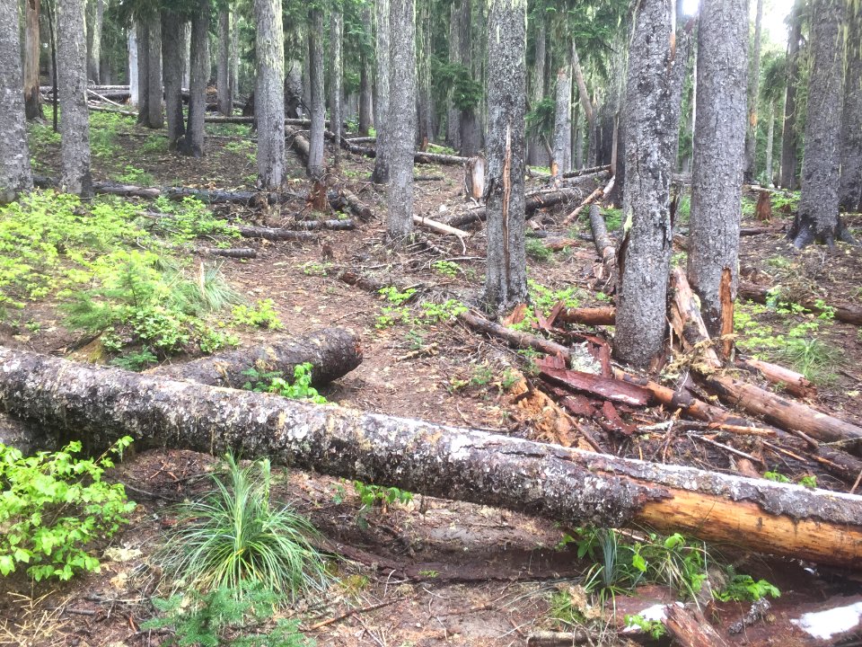 Klickitat Trail