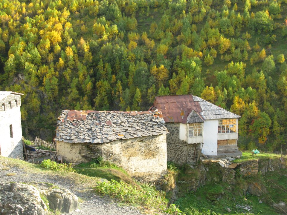 Georgia cottages autumn