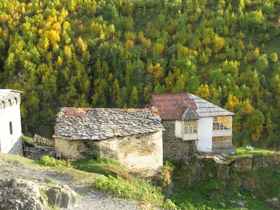 Georgia cottages autumn