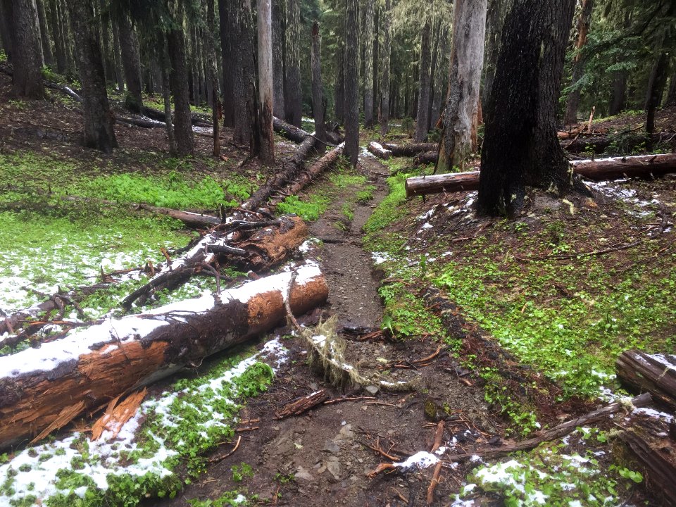 Klickitat Trail