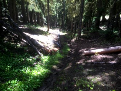 Klickitat Trail