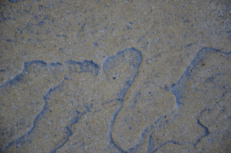 Texture Free Servez-vous