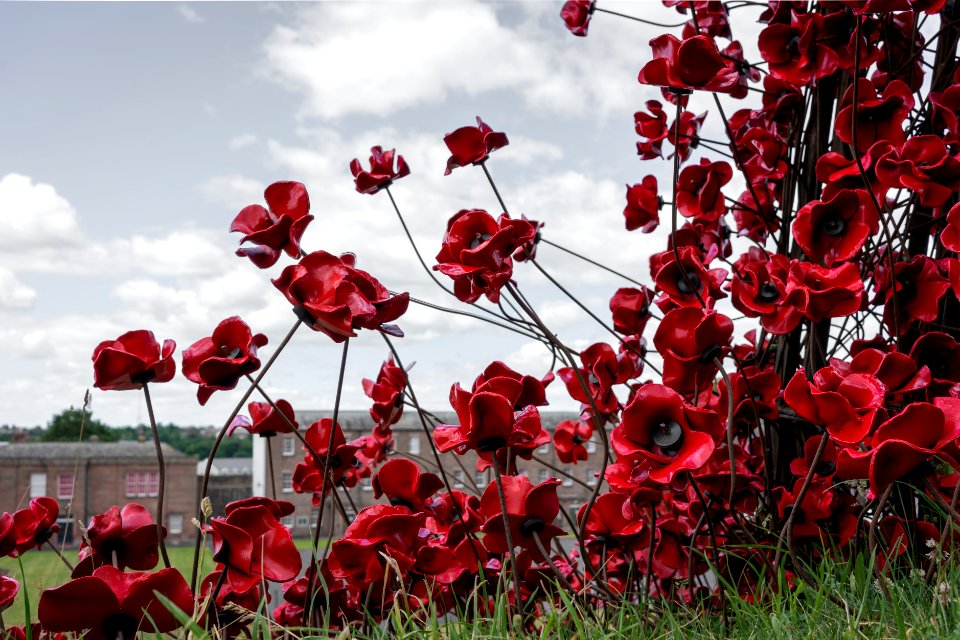 Weeping Window / Carlisle Castle
