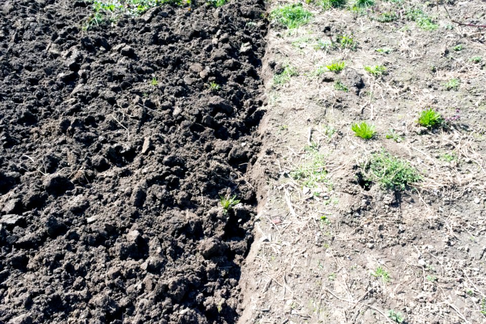 earth digging