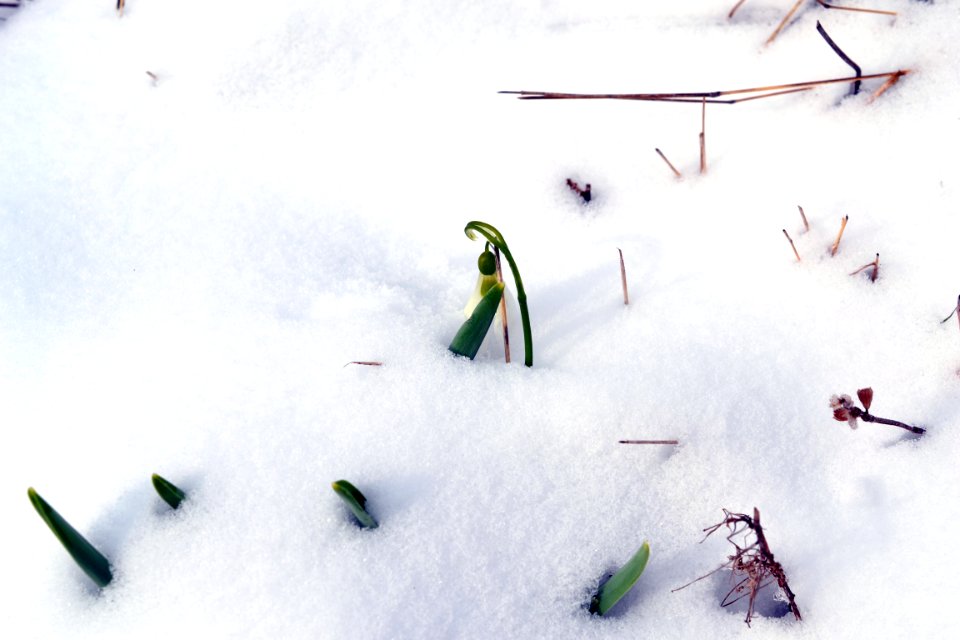 Winter