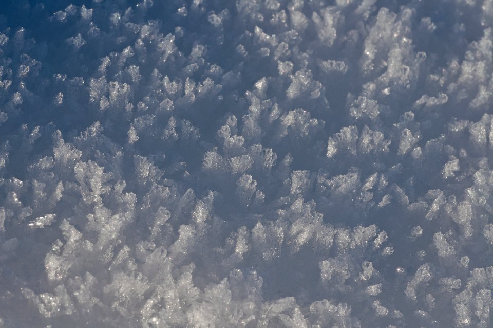 Texture