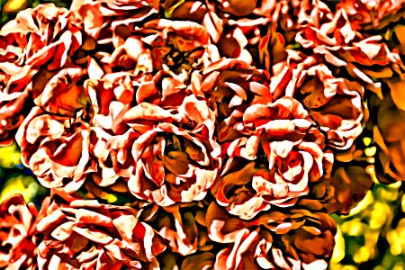 Photos edited