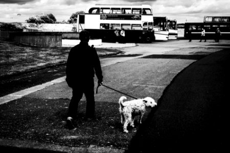 Bus and Woof photo