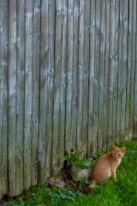 20170913-FAS-PJK-3522 TONED