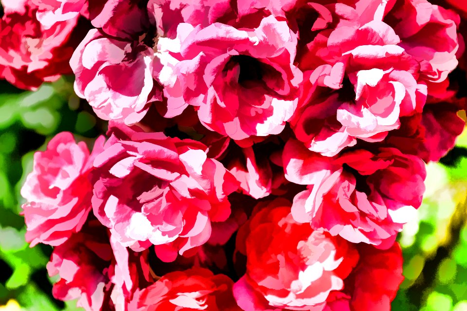 Photos edited