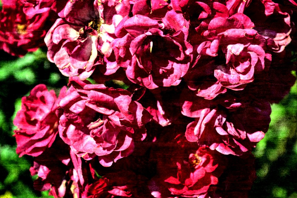 Photos edited