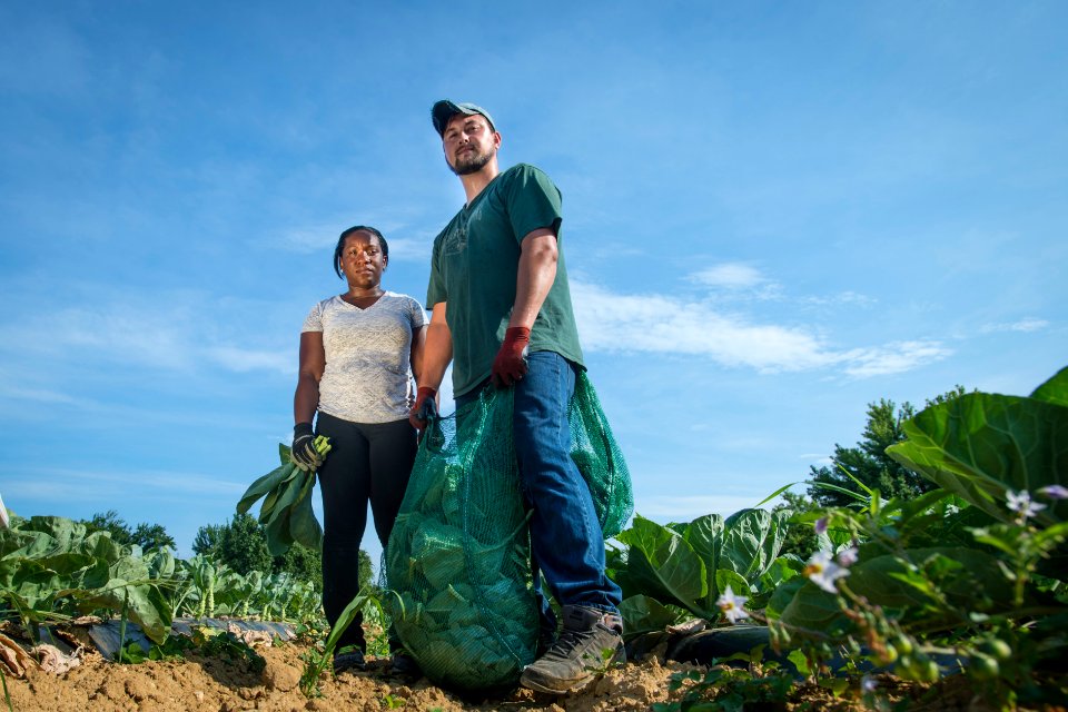20170714-PJK-Gleaning-0254TONED
