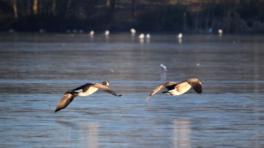 Low Level Navigation Training