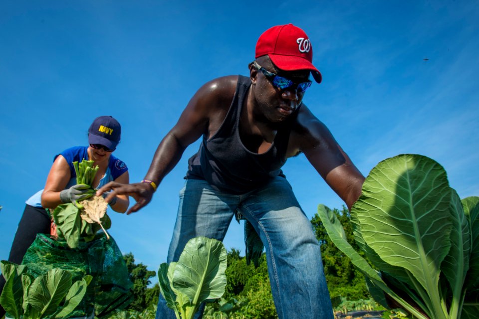 20170714-PJK-Gleaning-0338TONED