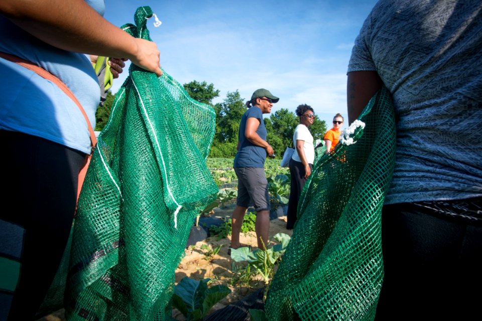 20170714-PJK-Gleaning-0024TONED