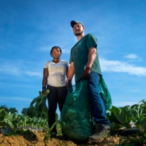 20170714-PJK-Gleaning-0254TONEDINSTAGRAM