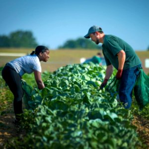 20170714-PJK-Gleaning-0563TONEDINSTAGRAM
