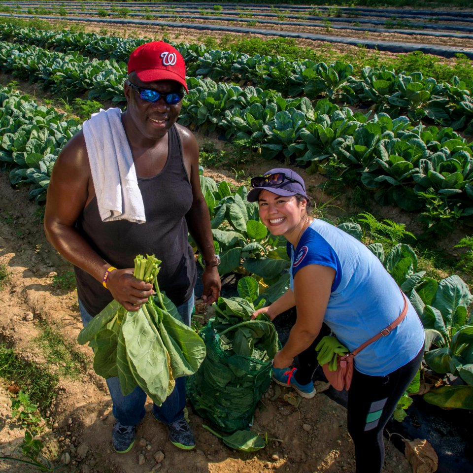 20170714-PJK-Gleaning-0387TONEDINSTAGRAM