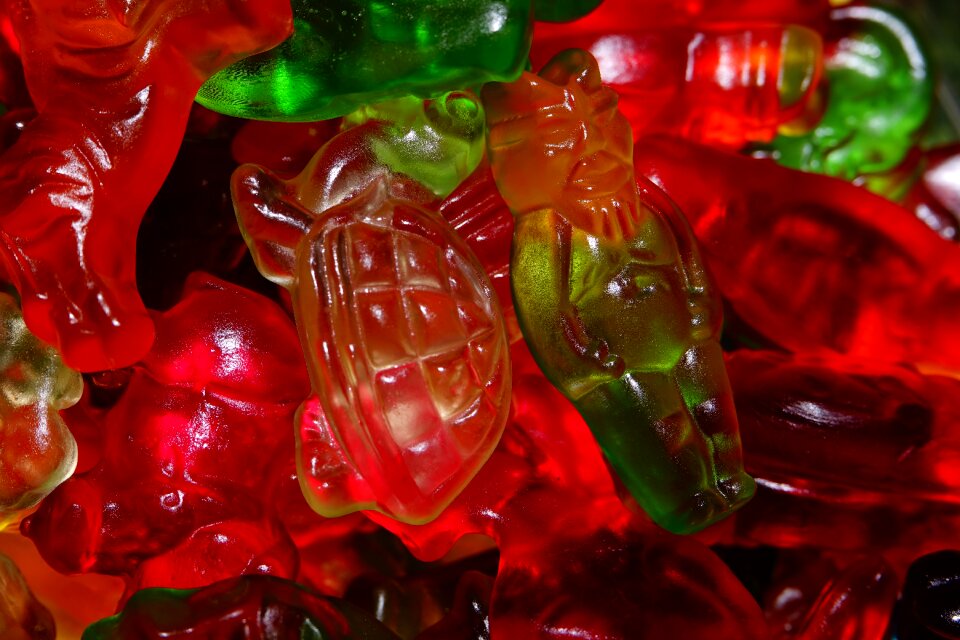 Haribo gummi bears colorful