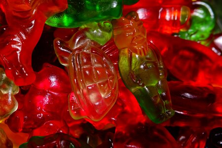 Haribo gummi bears colorful