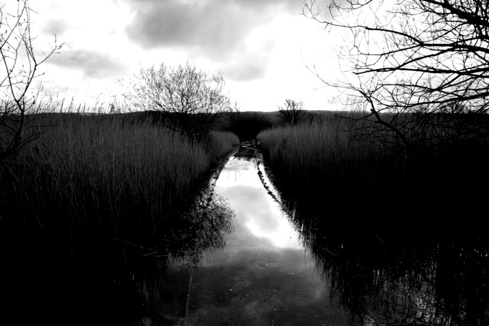 Paths Awash -  (2 of 6)