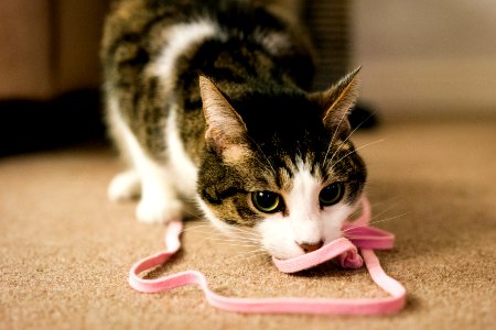 Pink String