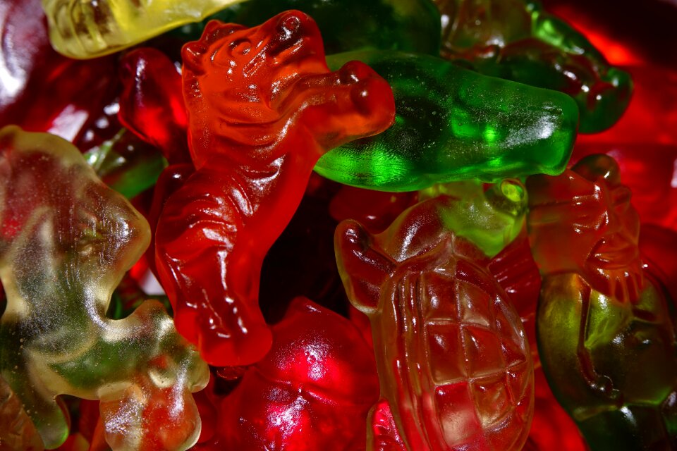 Haribo gummi bears colorful