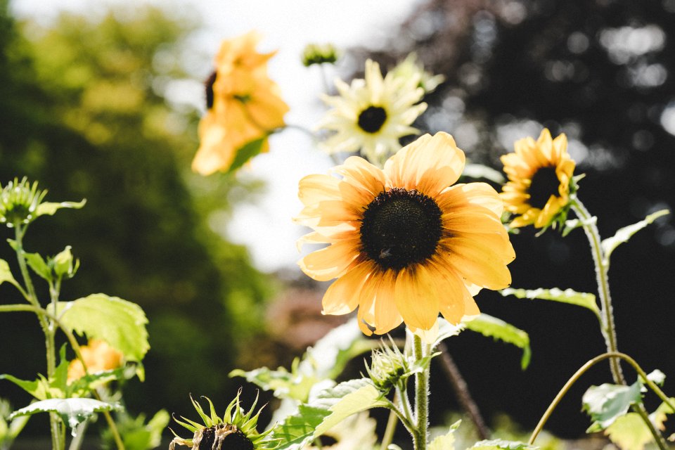 Holding on to Summer