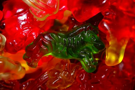 Haribo gummi bears colorful
