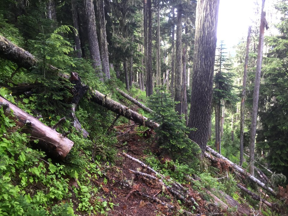 Klickitat 7A