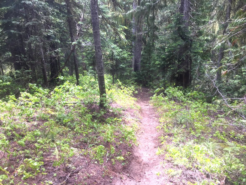 Klickitat Trail