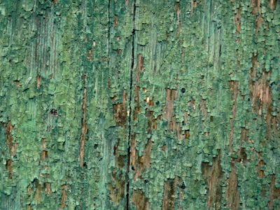 Texture