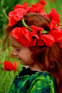 Red hair camp flower