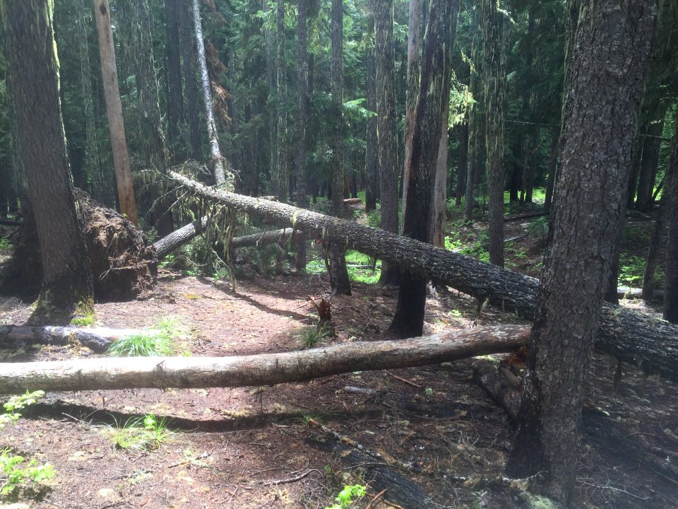 Klickitat Trail