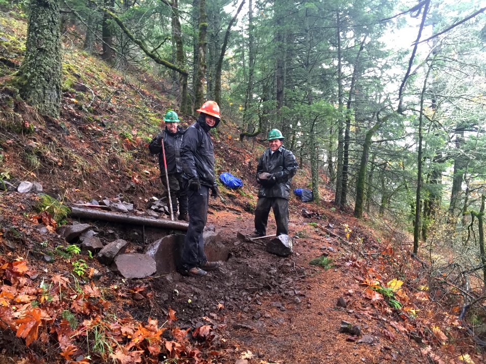 Dog Mt. 11-18-155