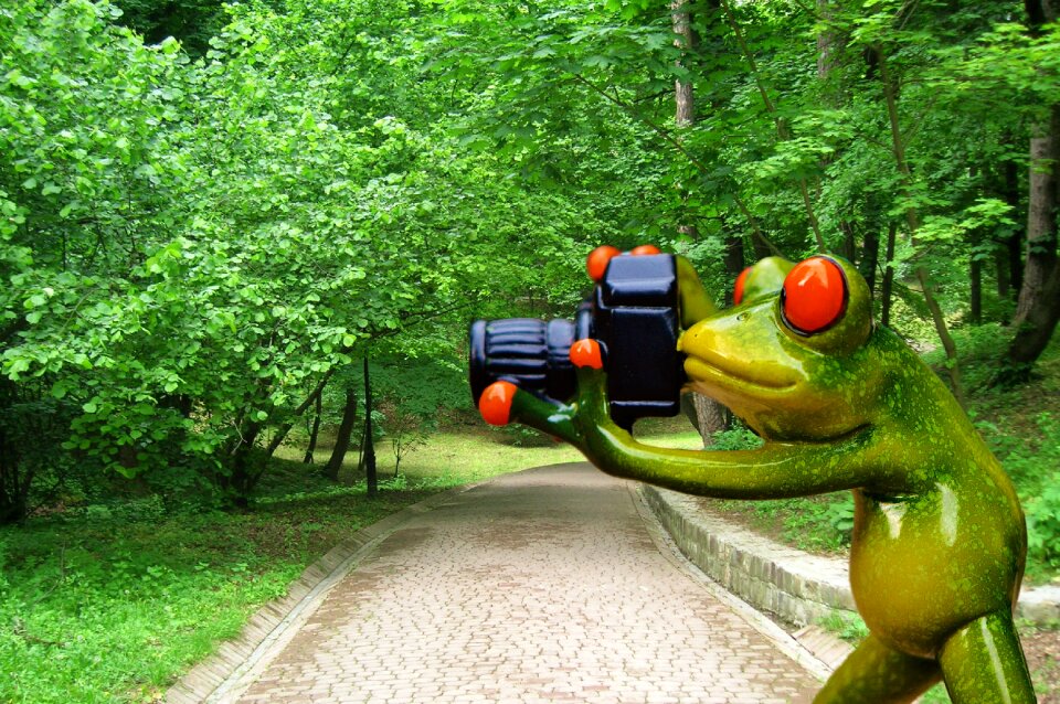 Fun camera green