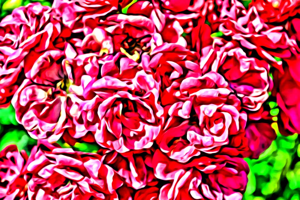 Photos edited