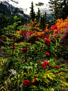 Callaghan Valley photo