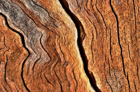 Texture