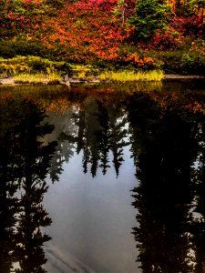 Callaghan Valley photo