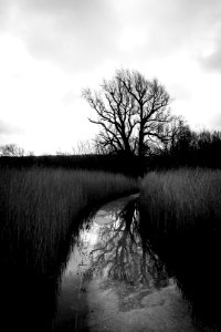 Paths Awash -  (4 of 6)