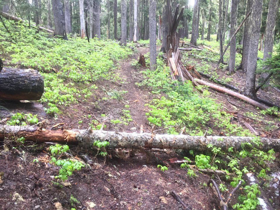 Klickitat Trail