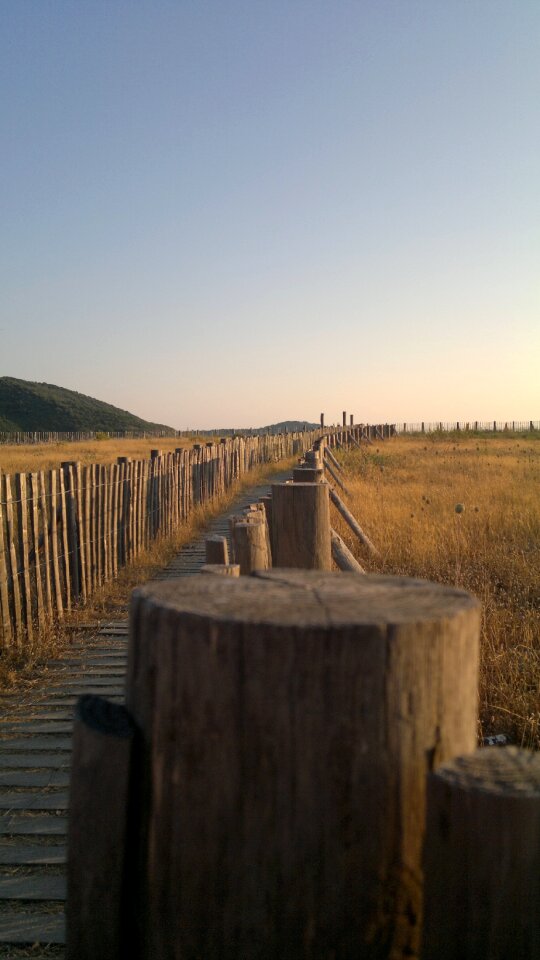 Wooden path wooden bridge meadow