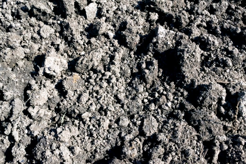 earth digging