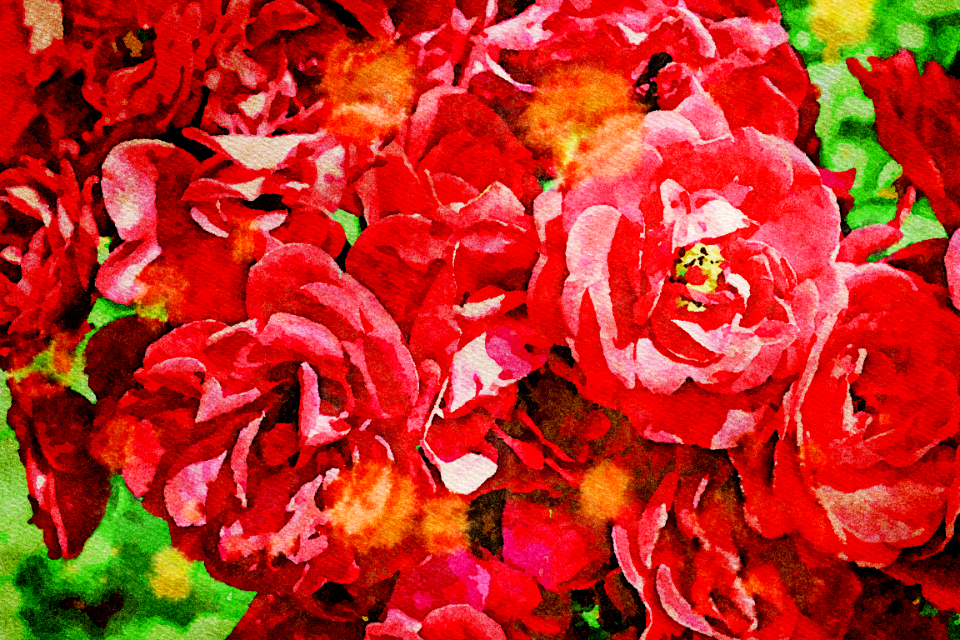 watercolor