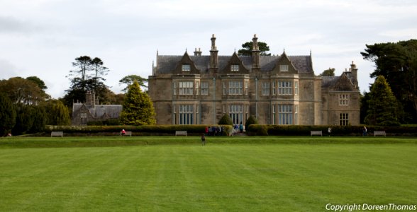 IMG 0631