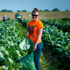 20170714-PJK-Gleaning-0597TONEDINSTAGRAM