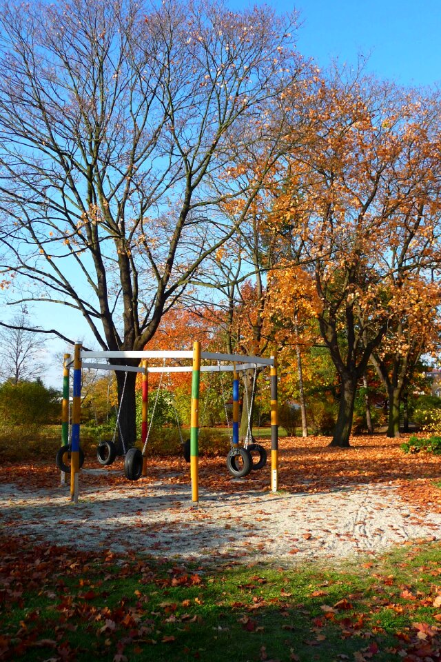 Fall foliage leaves playground