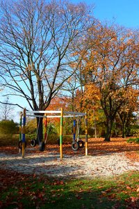 Fall foliage leaves playground